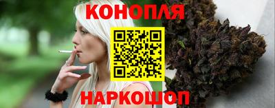 дмт Будённовск