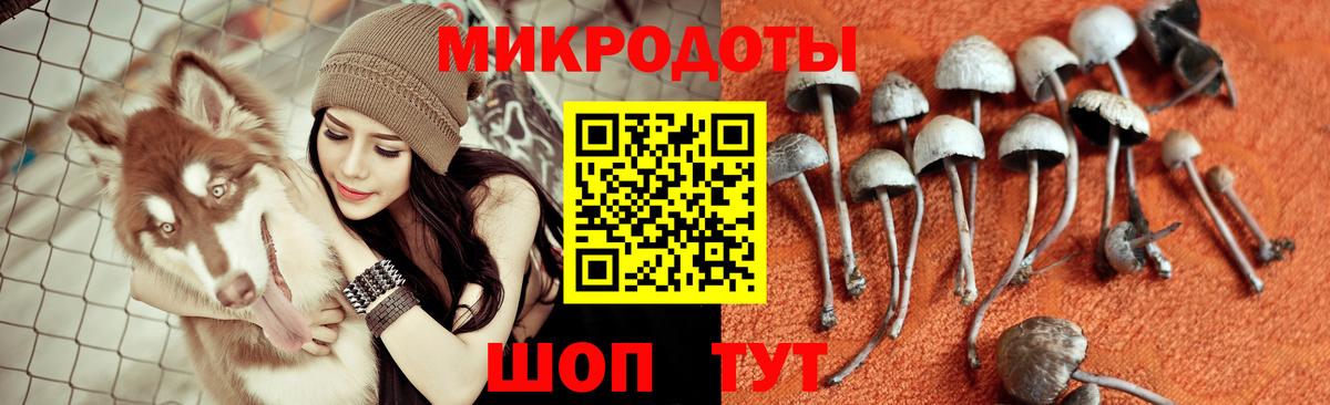 Галлюциногенные грибы Cubensis  Псилоцибиновые грибы Psilocybe  что такое наркотик  Петропавловск-Камчатский  Вход с VPN 